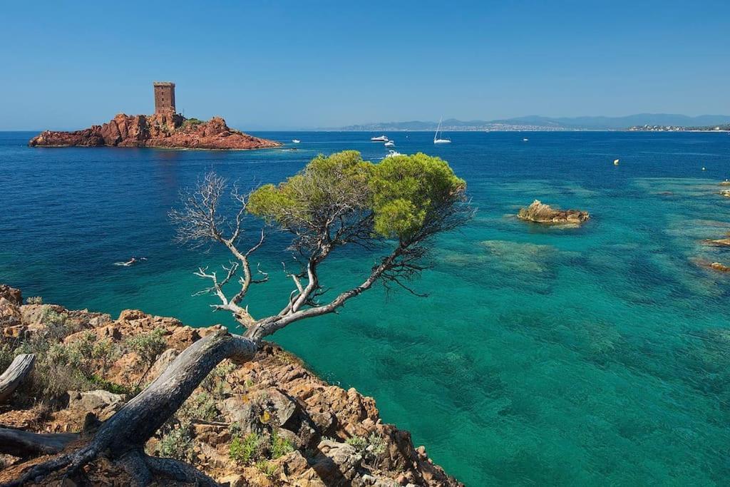 Appartement Frejus Avec Jardin, Piscine, Plage, Tennis Eksteriør billede